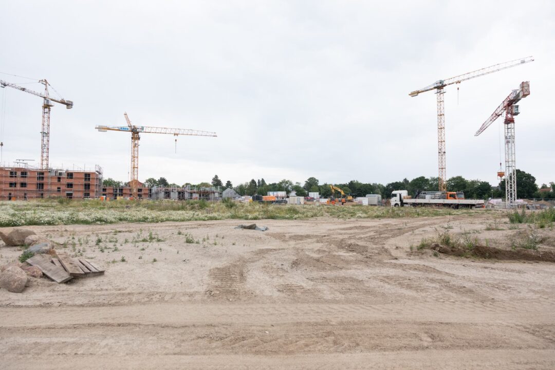 Buckower Felder Juli 2023